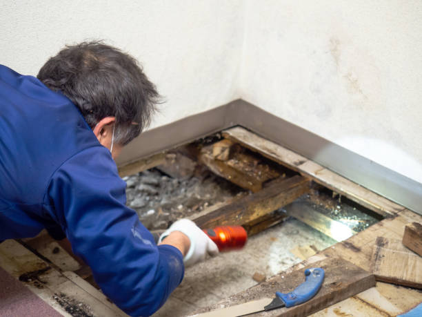 Water Damage Restoration in Ville Platte, LA