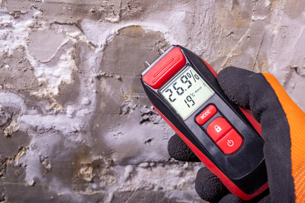 Best Mold Removal Company Near Me  in Ville Ptte, LA