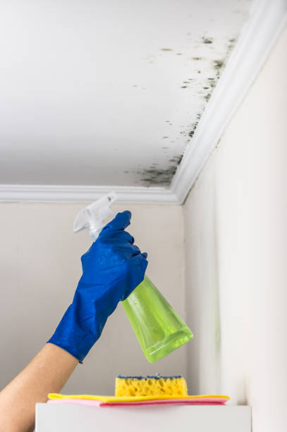 Best Crawl Space Mold Removal  in Ville Ptte, LA